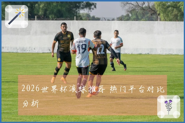2026世界杯滚球推荐 热门平台对比分析