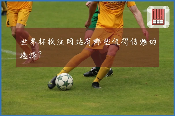 世界杯投注网站有哪些值得信赖的选择？