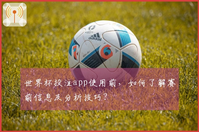 世界杯投注app使用前，如何了解赛前信息及分析技巧？