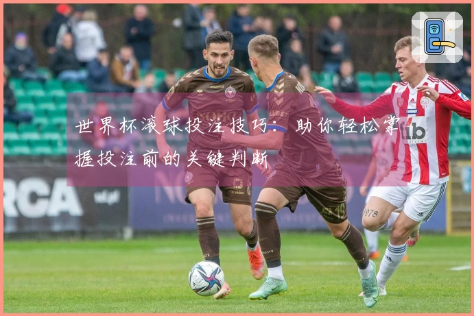 世界杯滚球投注技巧：助你轻松掌握投注前的关键判断
