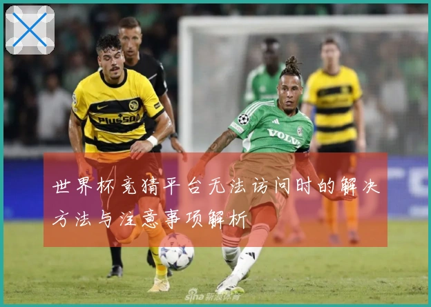 世界杯竞猜平台无法访问时的解决方法与注意事项解析