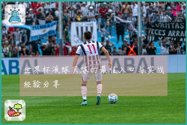 世界杯滚球买球的最佳入口与实战经验分享